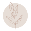 Eine minimalistische Zeichnung einer Pflanze mit filigranen Blättern in beige und braun auf einem kreisförmigen, hellbeigen Hintergrund.